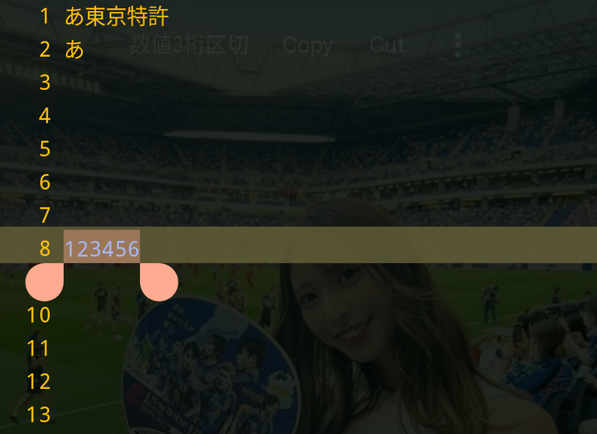 Screenshot (2024_06_09 19 59 07).png