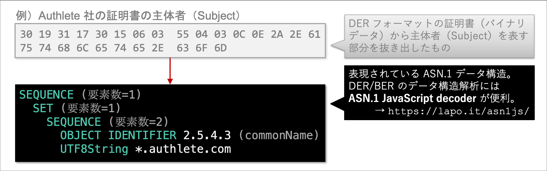 subject_asn1.png
