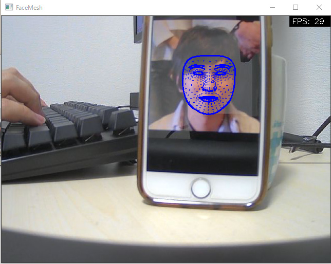 face_mesh.jpg