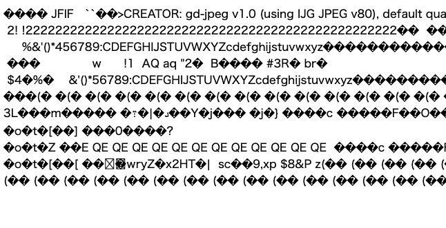 SS 2023-10-20 20.10.06.jpg