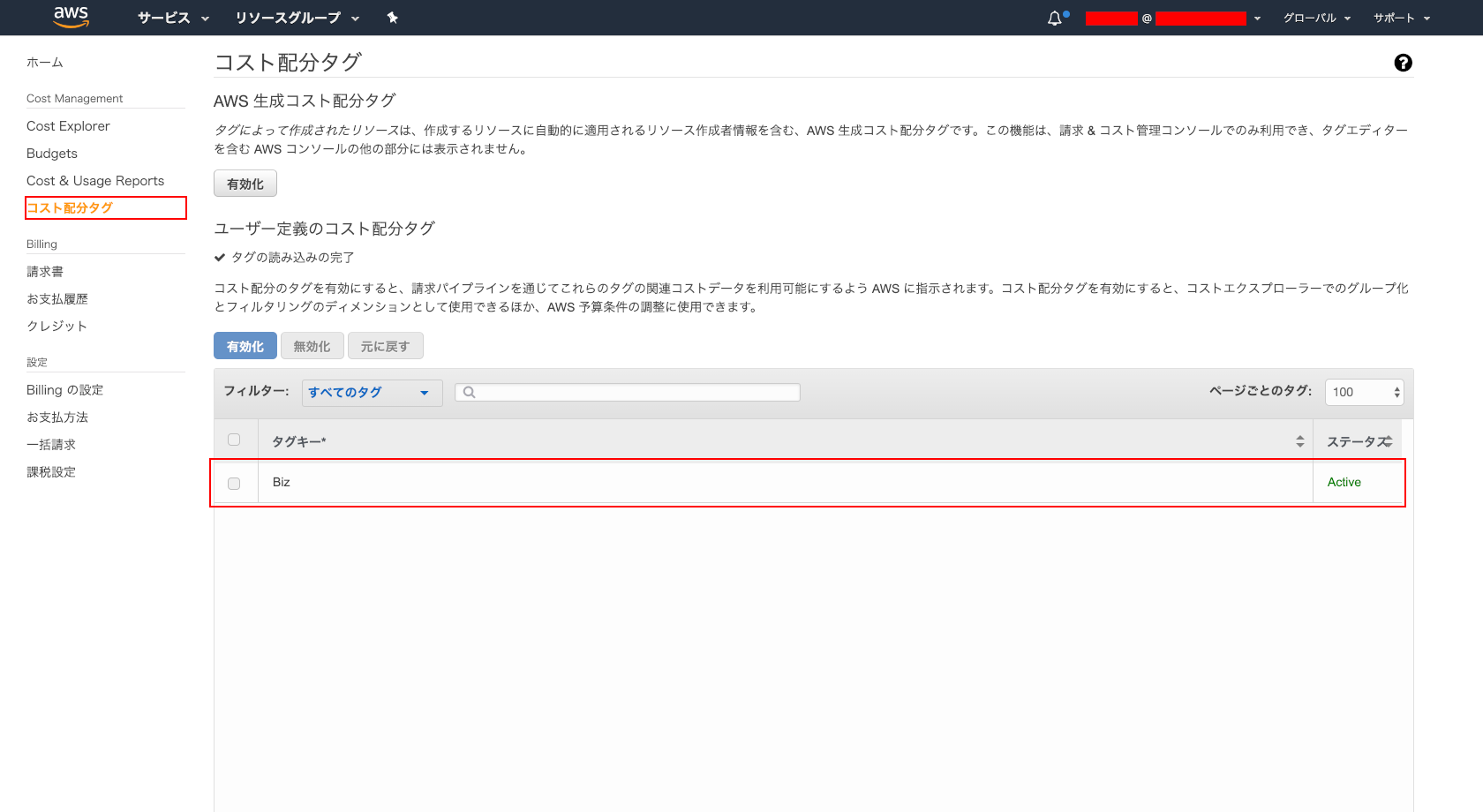 FireShot Capture 096 - Billing Management Console - console.aws.amazon.com.png