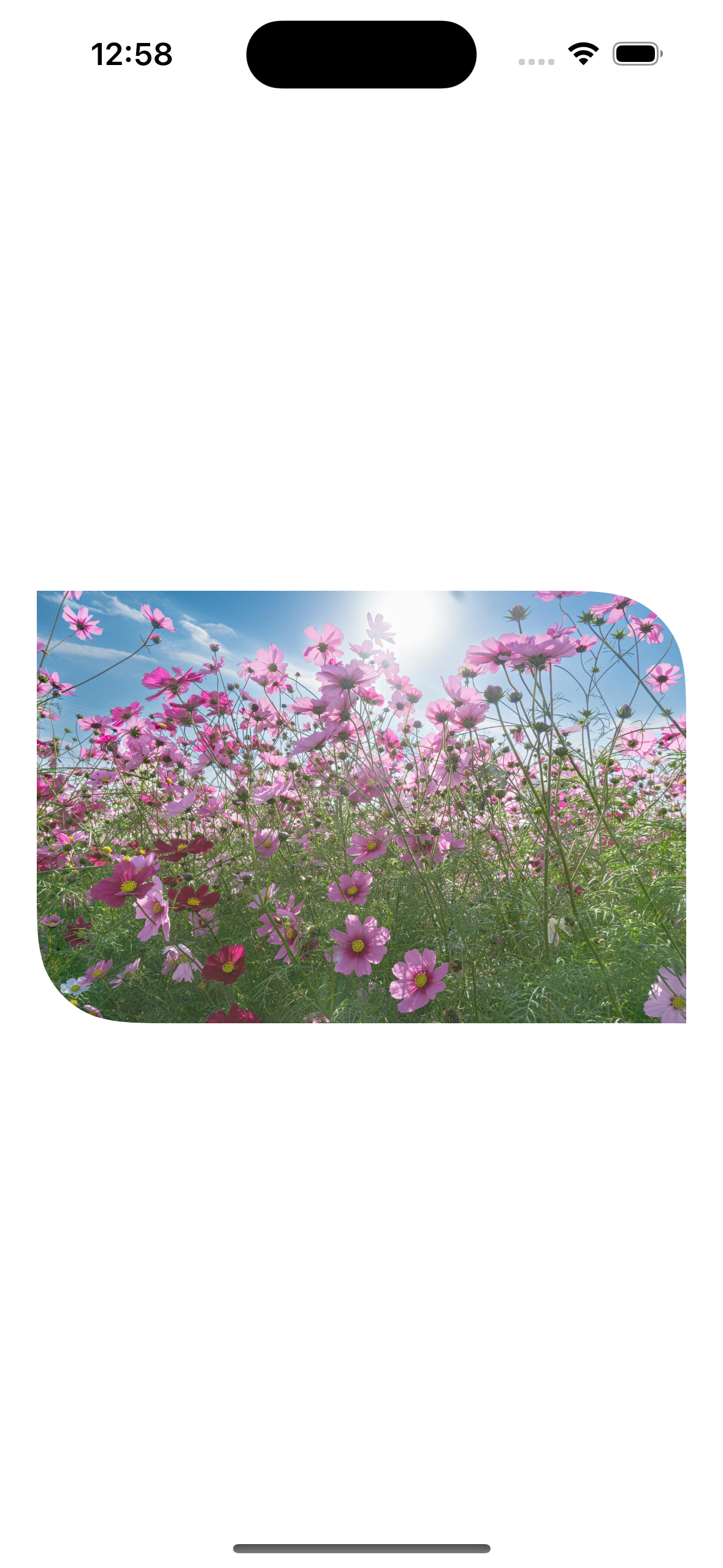 Simulator Screenshot – iPhone 15 – 2023-11-25 at 12.58.35.png