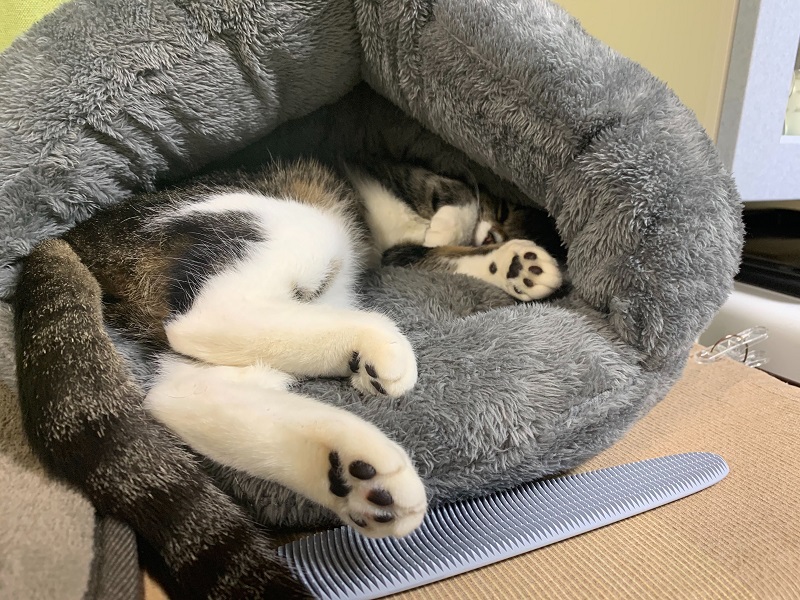 Image from iOS (3).jpg