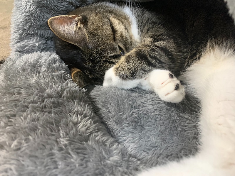 Image from iOS (1).jpg