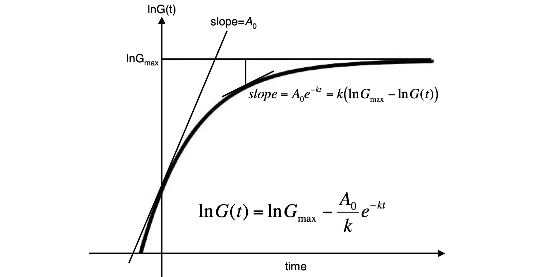 ゴンペルツ曲線とは何か？（2） #数理モデル - Qiita