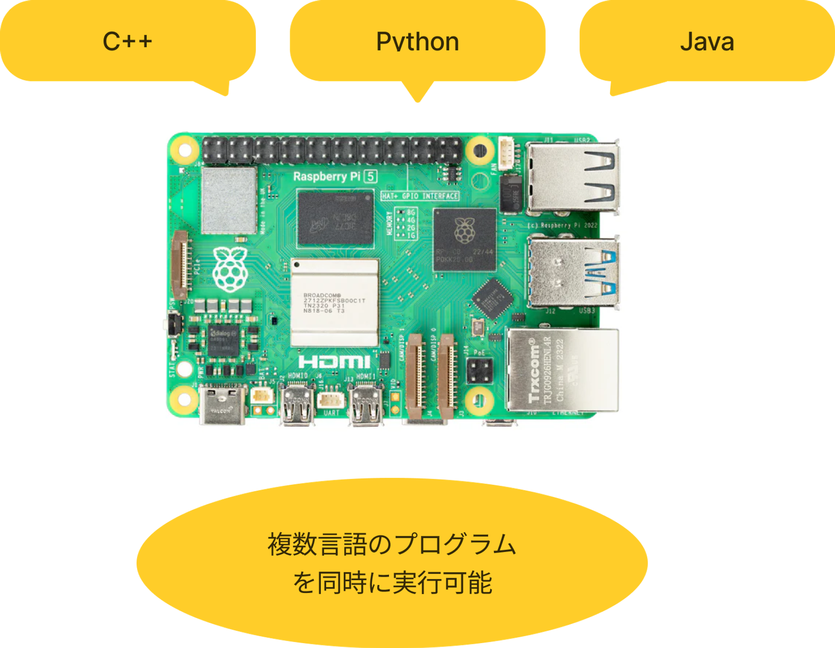 初心者向け】結局、Arduinoとラズパイって何が違うの？【図解