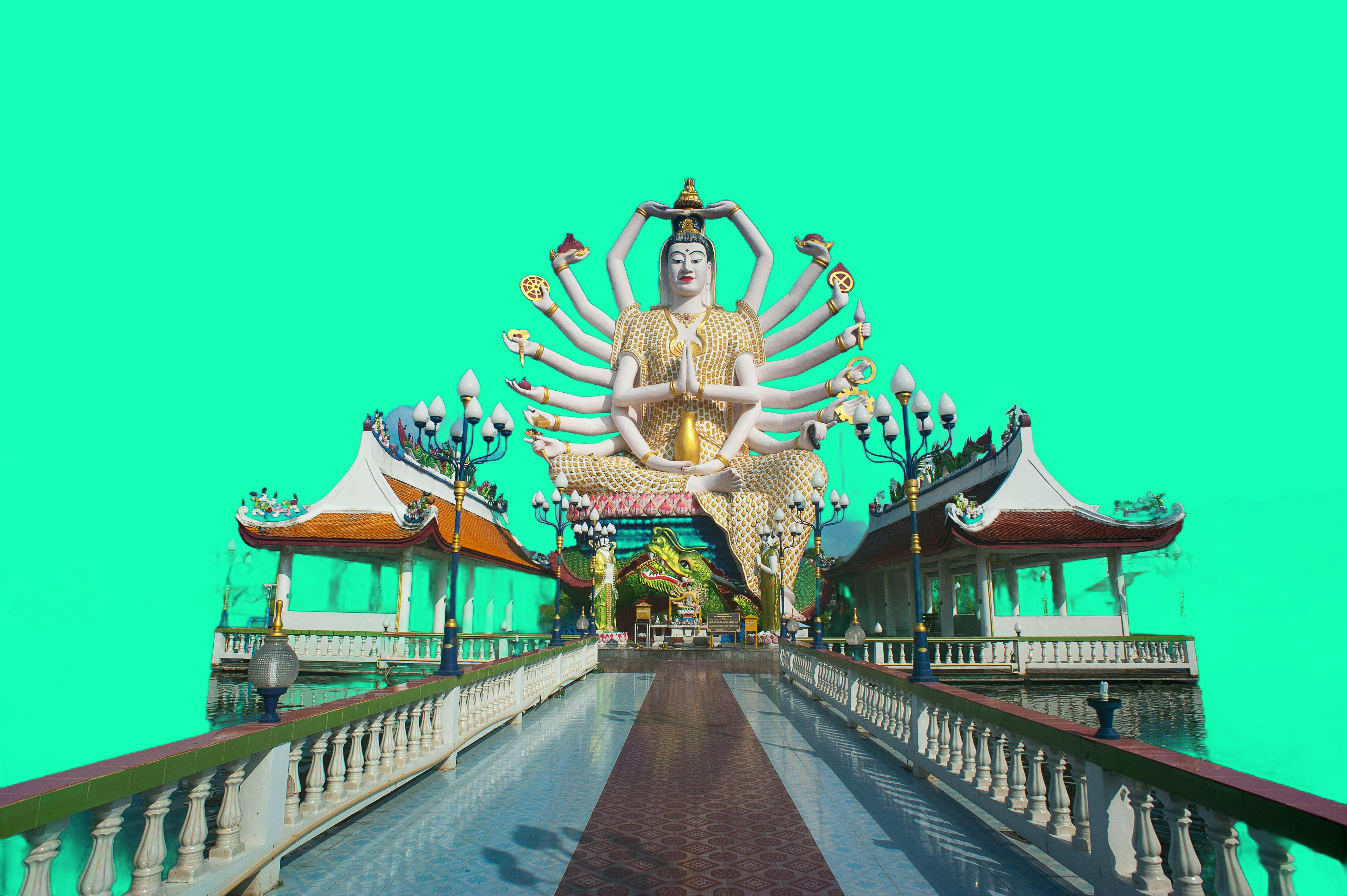 example_image_no_bg.png
