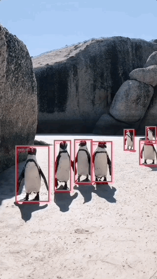 Apr-09-2022 09-21-00.gif