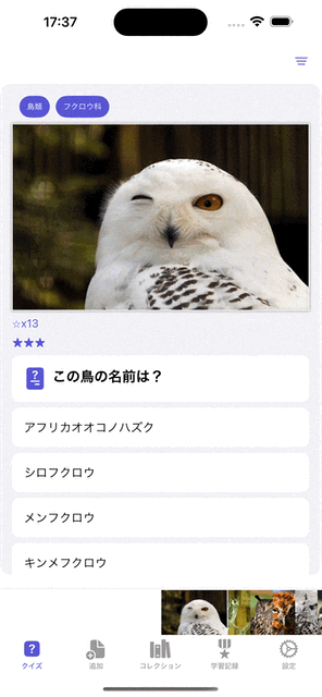 quizView.gif