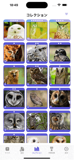 collectionView.gif