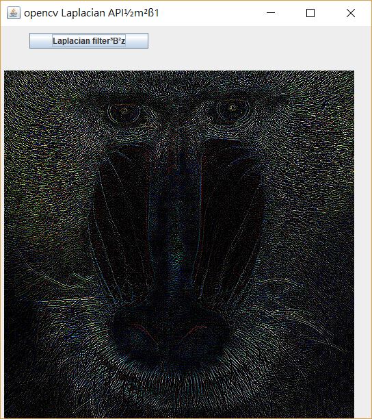 opencv_laplacian_filter.JPG