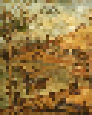 clean_mosaic.jpg