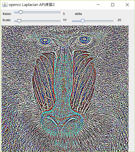 opencv_laplacian_gray_scale.JPG