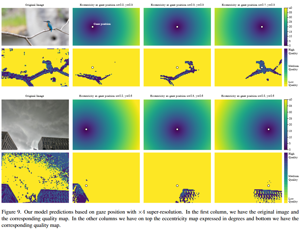 Human Vision Constrained Super-Resolution (2025) #個人メモ