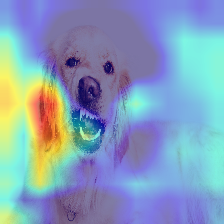 ダウンロード (1).png