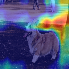 ダウンロード (4).png