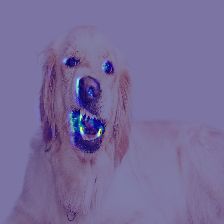 ダウンロード (6).png