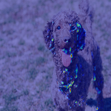 ダウンロード (7).png