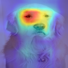 ダウンロード (5).png