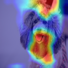 ダウンロード (2).png