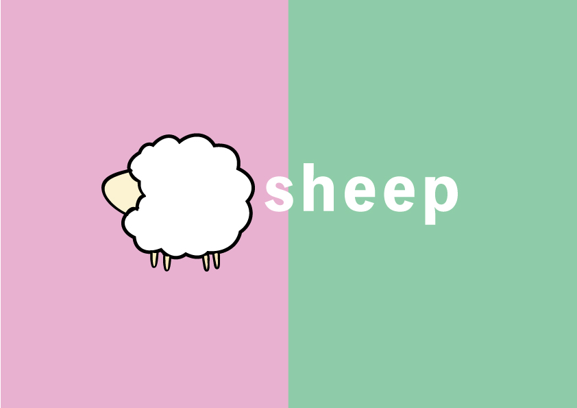 sheep.jpg