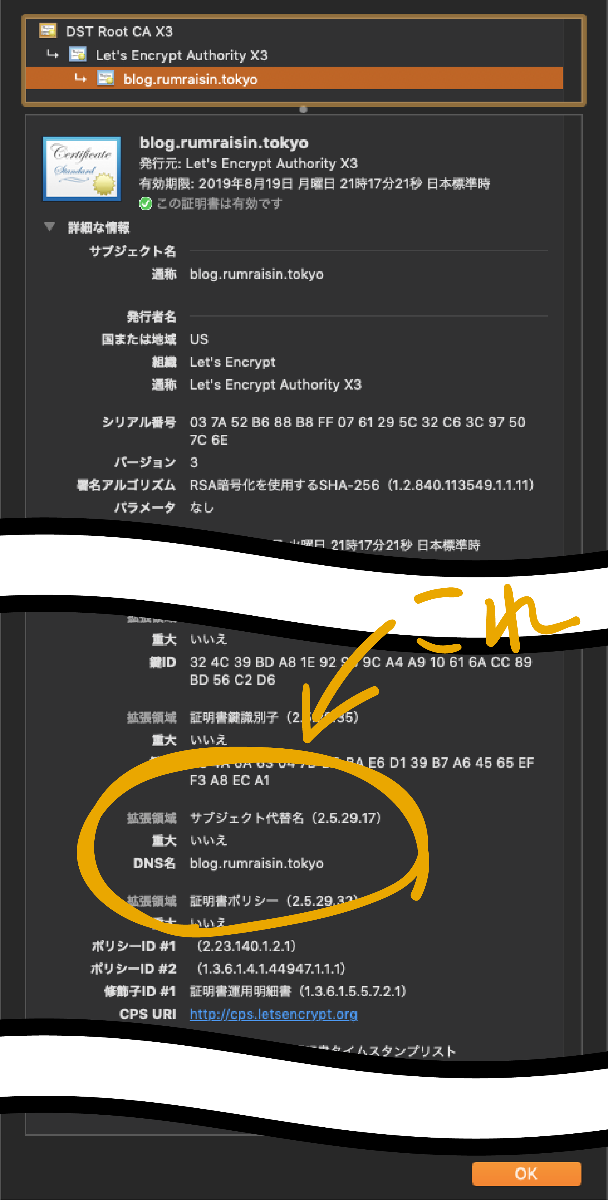 Openssl cnf openssl SAN CSR Qiita