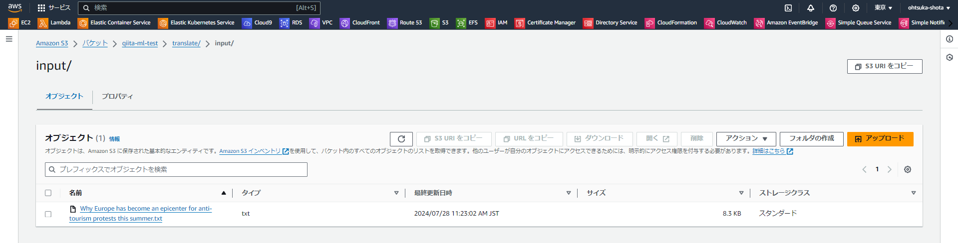 なお様 リクエスト 5点 まとめ商品　　　　　　⭐️速達発送⭐️ e発送サービス - 日本郵便