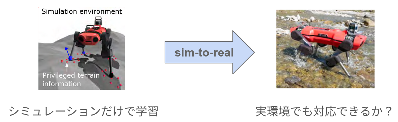 趣味・スポーツ・実用 Motor Learning in Practice PLAY SPOTo | biima sports