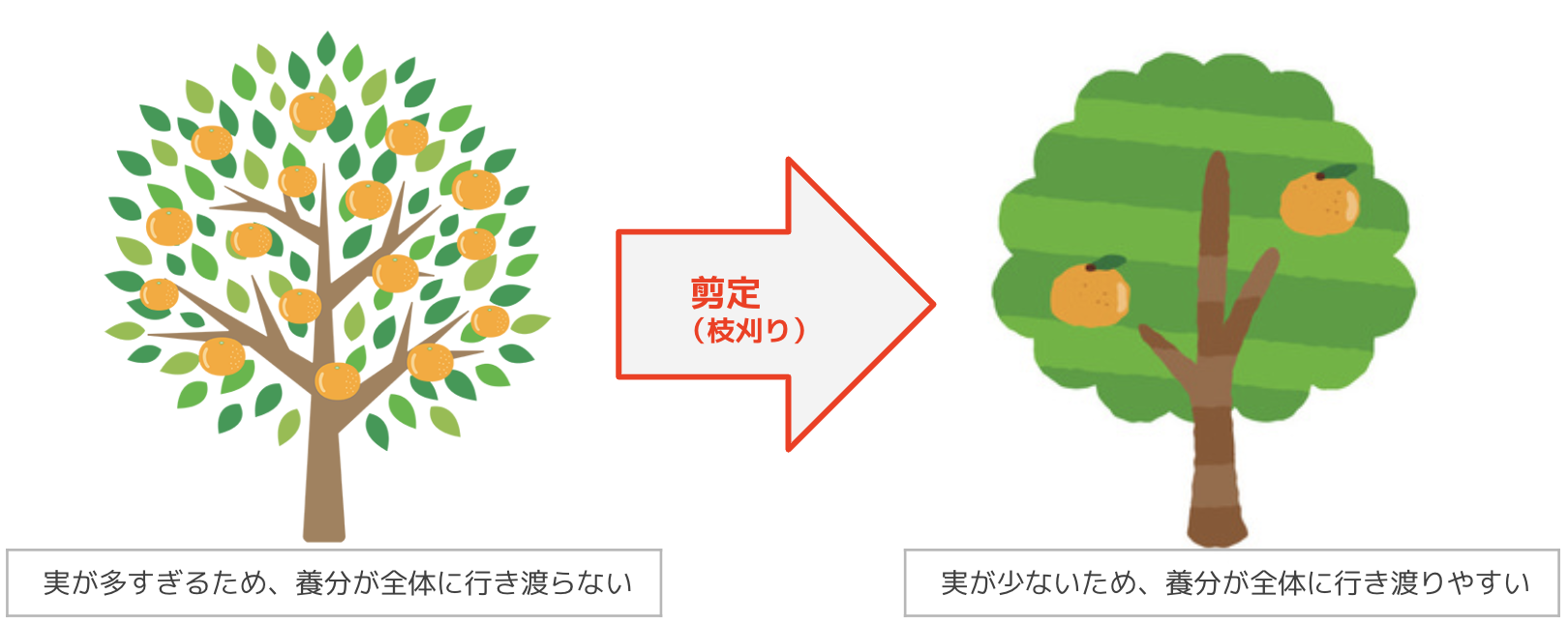 【取引決定】木　パーティション パーティション