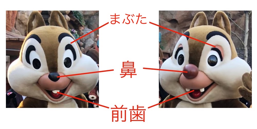 AIでチップとデールを見分ける #機械学習 - Qiita