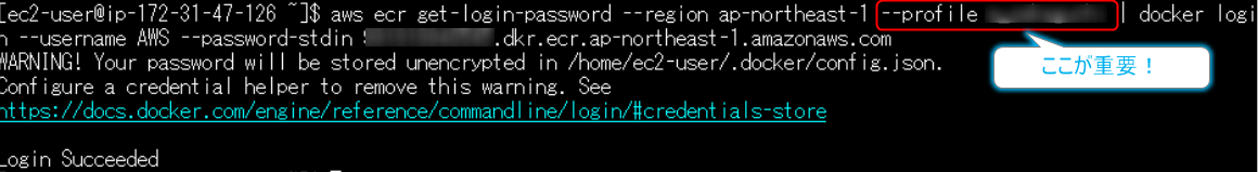 ECR Docker push Error Cannot Perform An 
