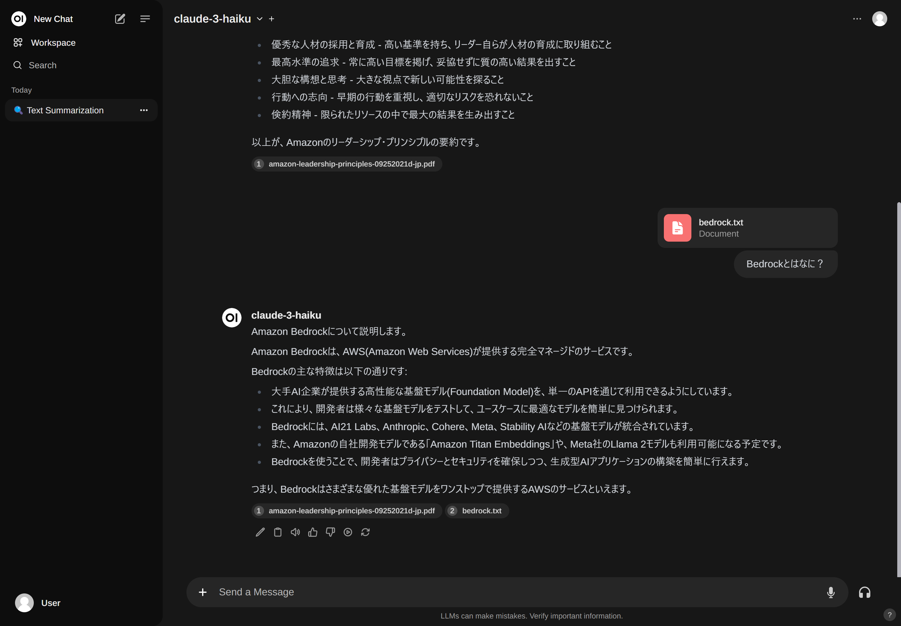 Open WebUI (Formerly Ollama WebUI) がすごい2（RAGもすごい） #AWS