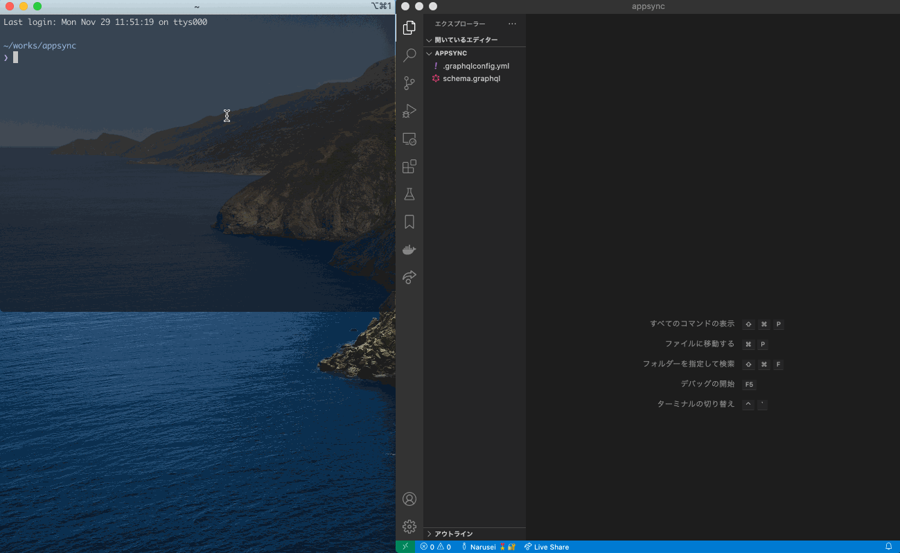 appsync.gif