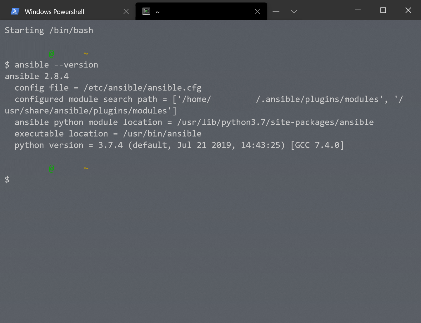 cygwin-bash-on-windows-terminal.png