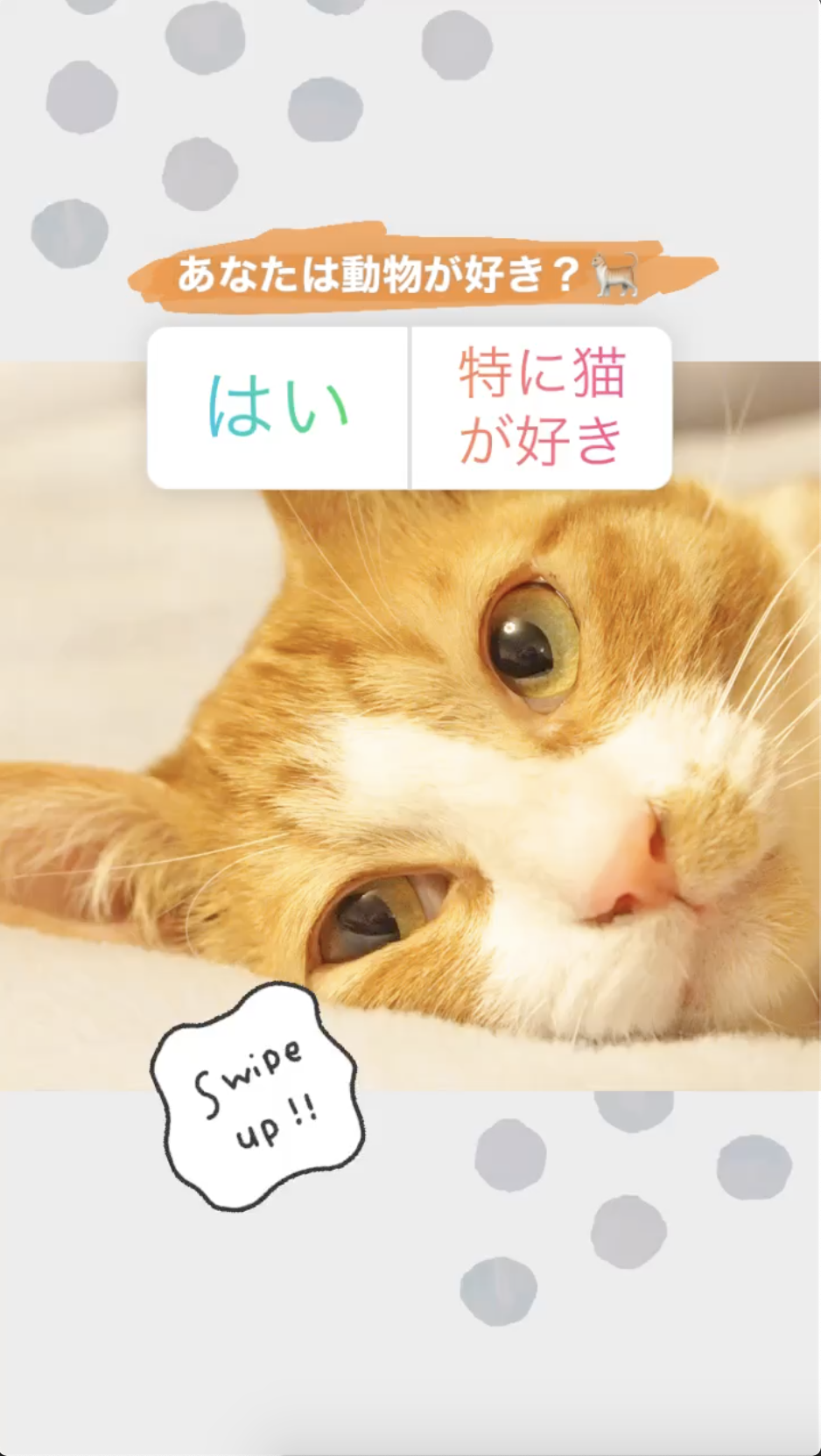 スクリーンショット 2019-12-22 1.27.12.png