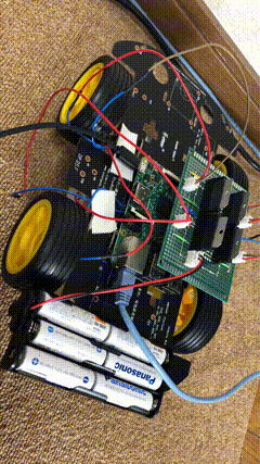 output_7853_2.gif