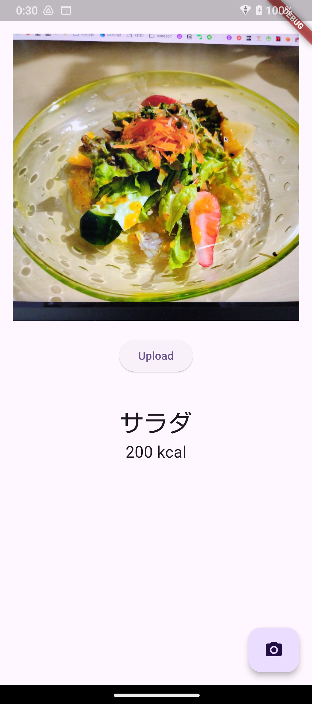 スマホのカメラで料理のカロリーを計算するアプリをサクっと作ってみた【Amplify,Bedrock,Flutter】 AWS - Qiita