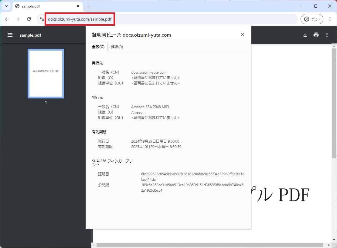 専用です！ドミナントインフィールドVISION3点おまとめ 既存のCloudFrontにサブドメインを追加しようとして失敗した話