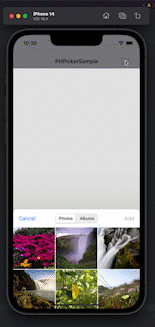 動画_AdobeExpress.gif