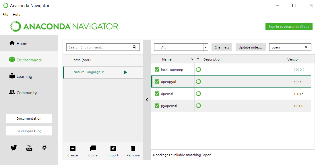 anaconda virtual environment