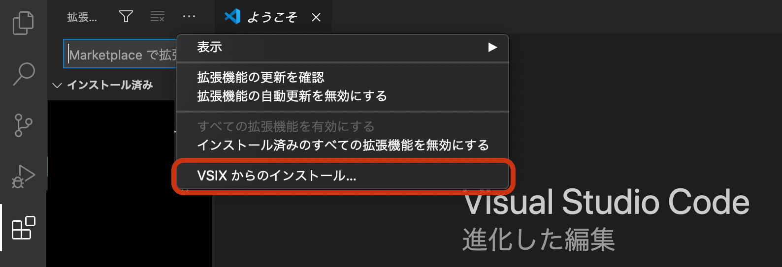 VSIXからのインストール.png