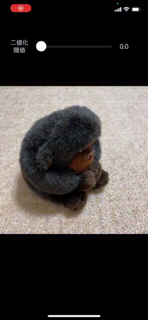 demo.gif