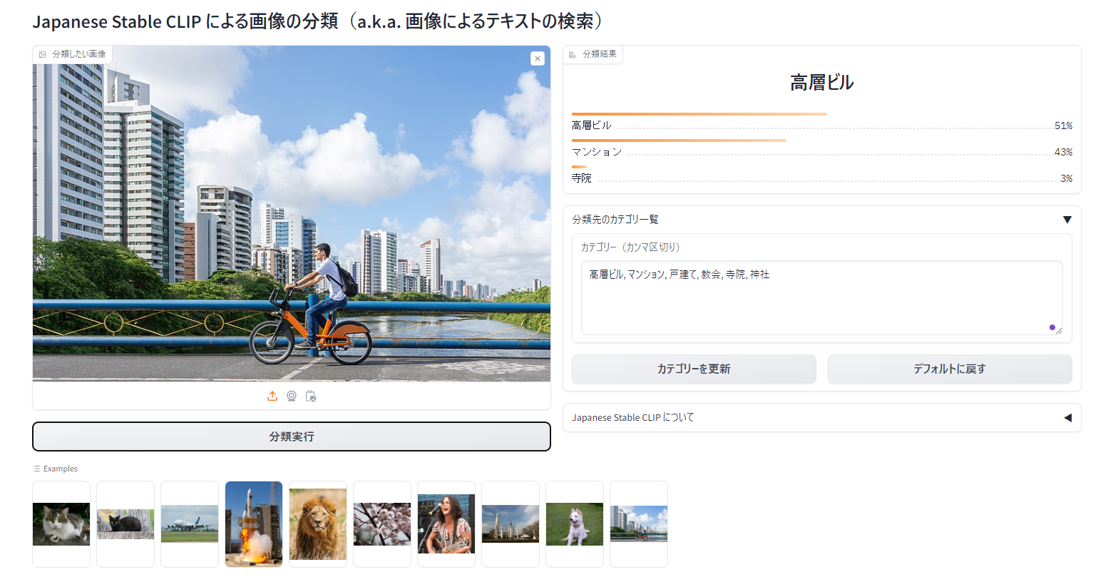 ハピー様確認用画像 カワサキパーツ/ウエア＆グッズオンラインショップZX-12R 01