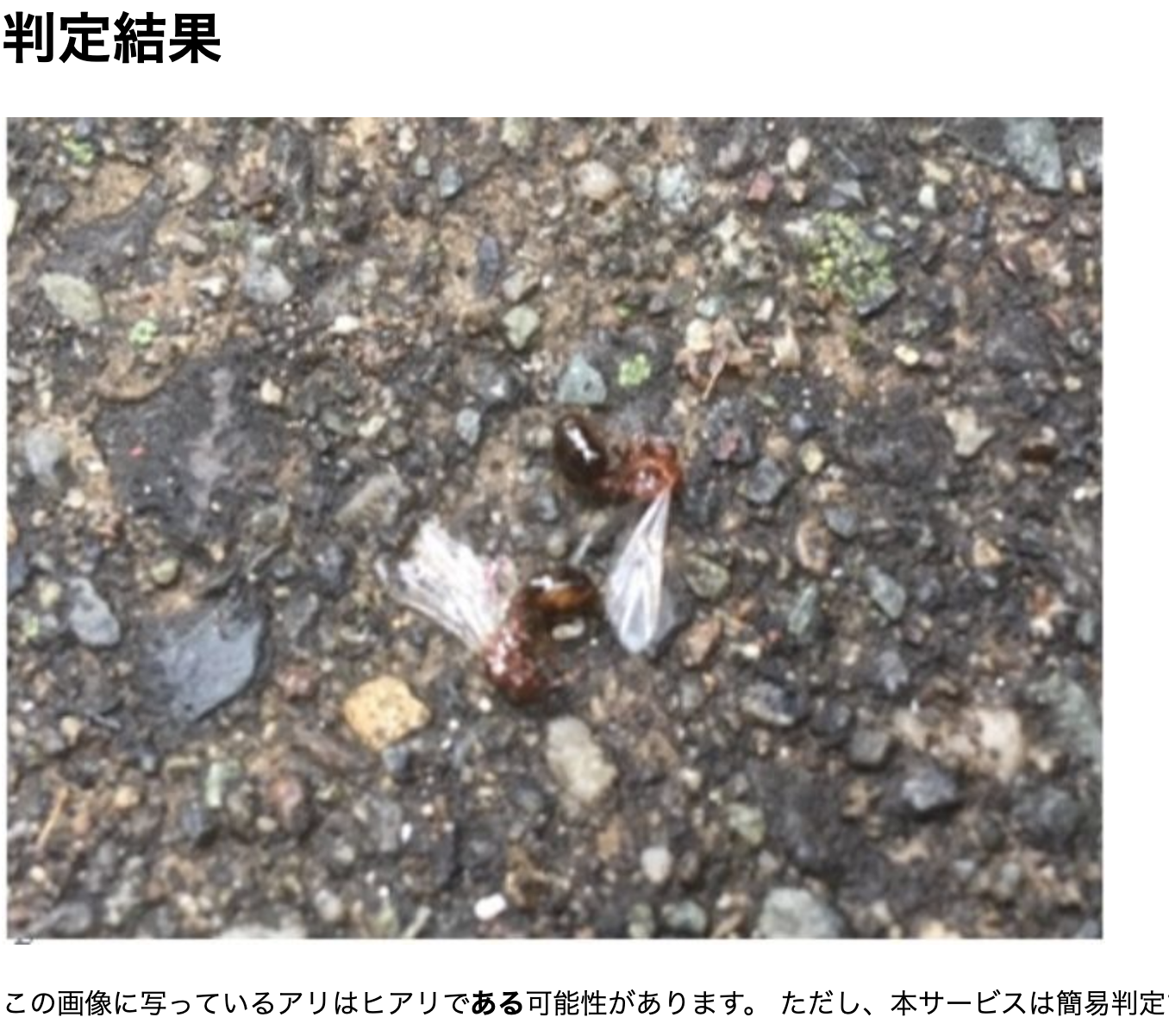 スクリーンショット 2019-12-16 15.27.06.png