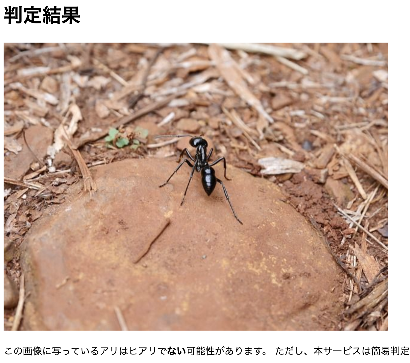 スクリーンショット 2019-12-16 15.14.52.png