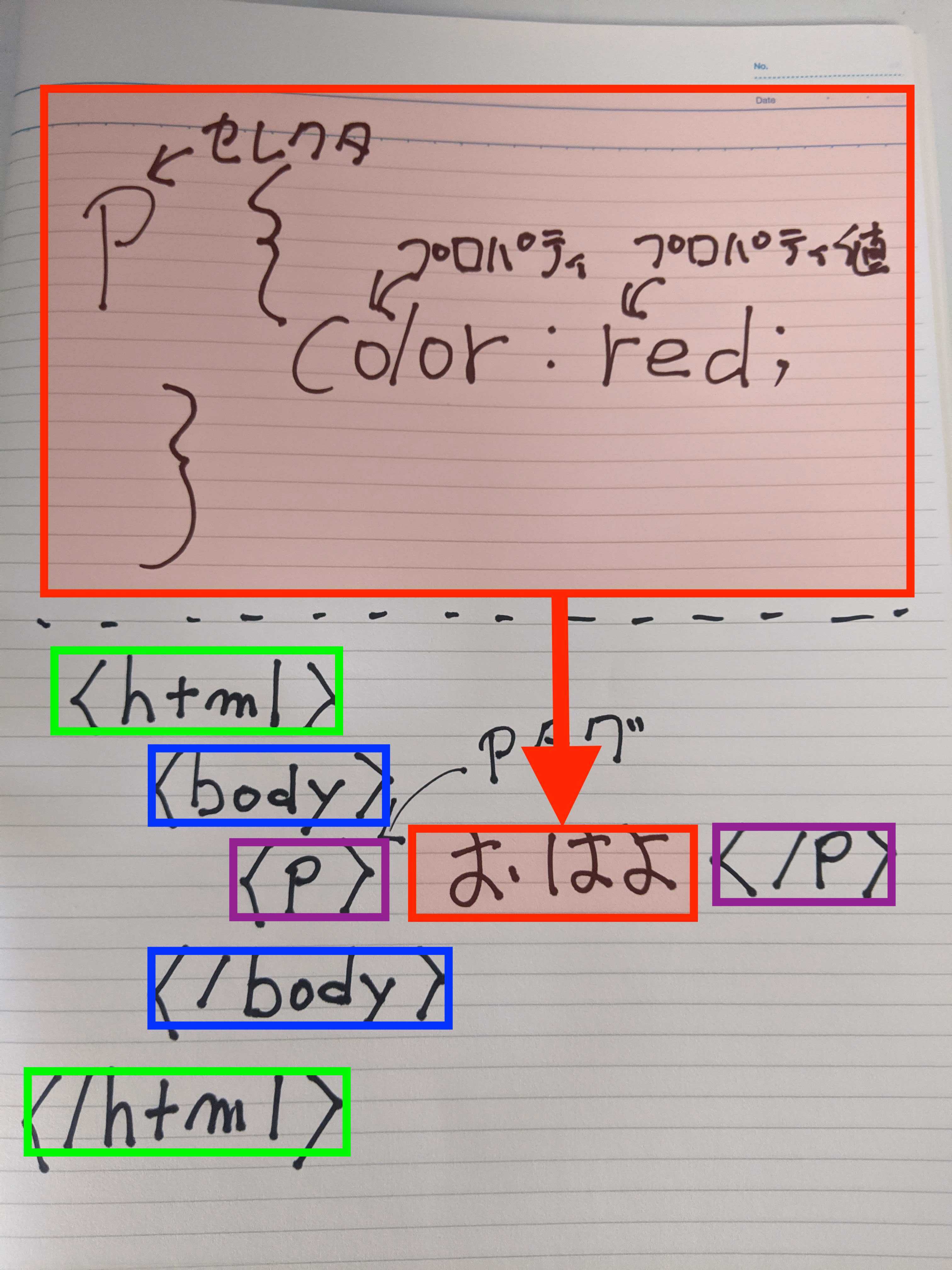 IMG_20200808_165255 copy.jpg