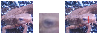 2019-05-26 19.51.21.png